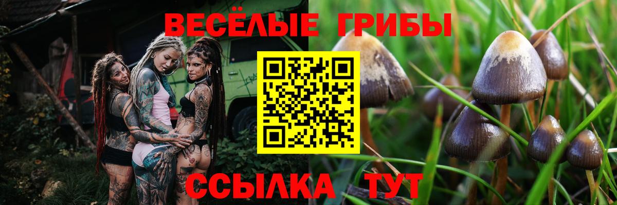 Галлюциногенные грибы мухоморы  Галлюциногенные грибы Psilocybe  Кизилюрт  Вход с VPN 