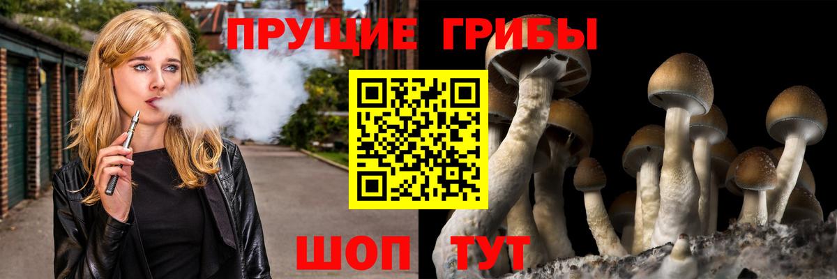 Галлюциногенные грибы MAGIC MUSHROOMS Кизилюрт